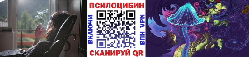 купить наркоту мориарти наркотические препараты Псилоцибиновые грибы GOLDEN TEACHER Южно-Сухокумск